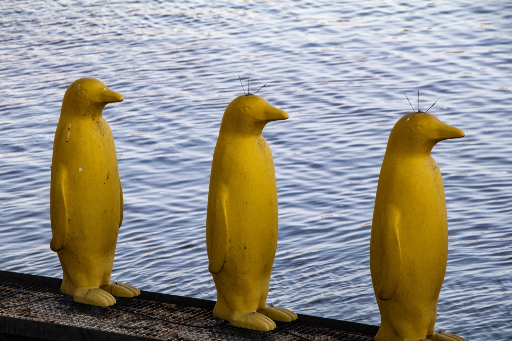 Praha, plastoví tučňáci