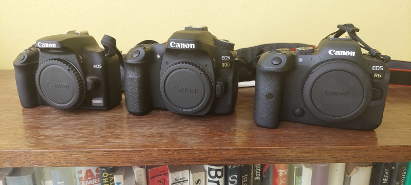 Tak šel čas s mými foťáky: tři těla fotoaparátů Canon EOS 1000D, 80D a R6 vedle sebe na dřevěné polici.